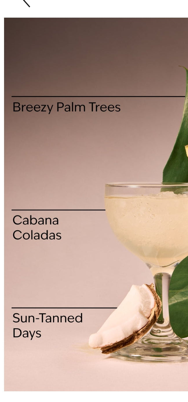 Meet Me In Miami Body Lotion