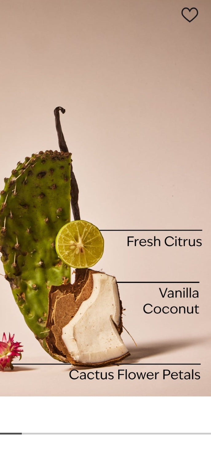 Cactus Blossom Body Lotion