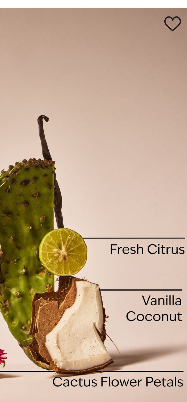 Cactus Blossom Fine Fragrance Mist